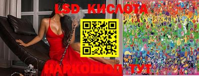 молекула духа Новокубанск
