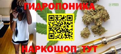 молекула духа Новокубанск