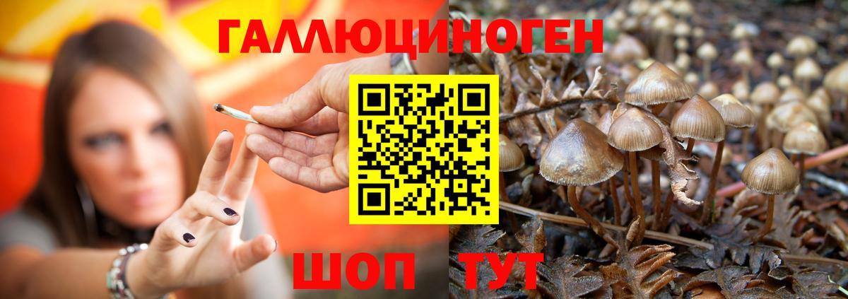 Сочи  Галлюциногенные грибы MAGIC MUSHROOMS  Вход с VPN  Галлюциногенные грибы Psilocybine cubensis 